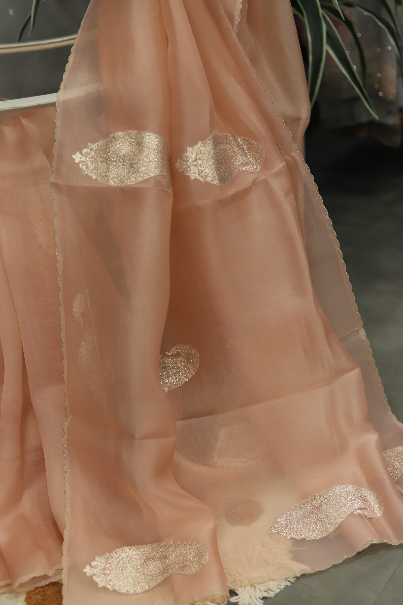 972B81BC-2483-448A-8E78-82CB8F46E94A